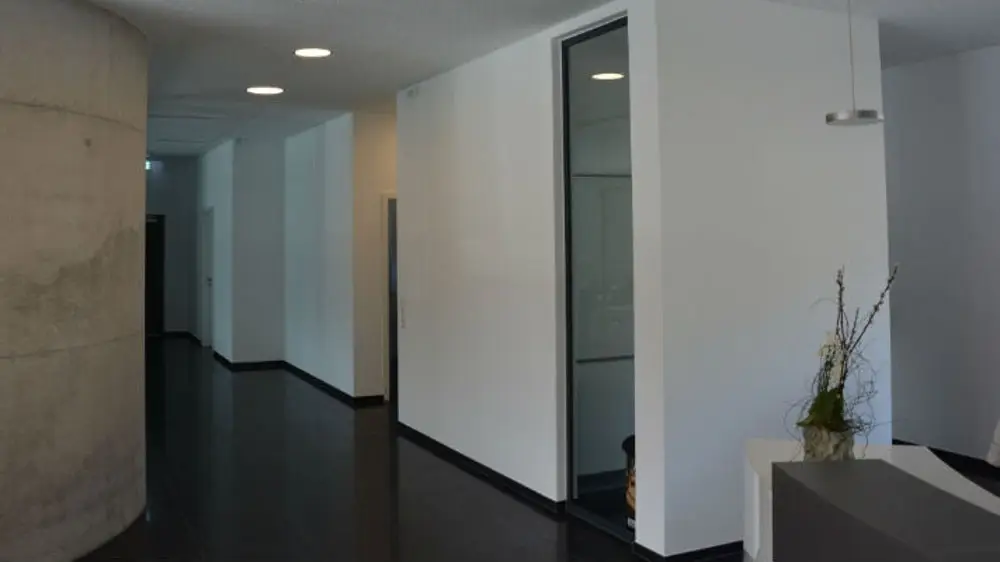 hohner stukkateur beitragsbild protut