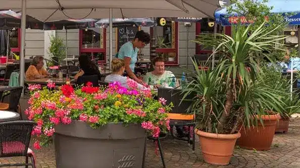 la vie beitragsbild protut