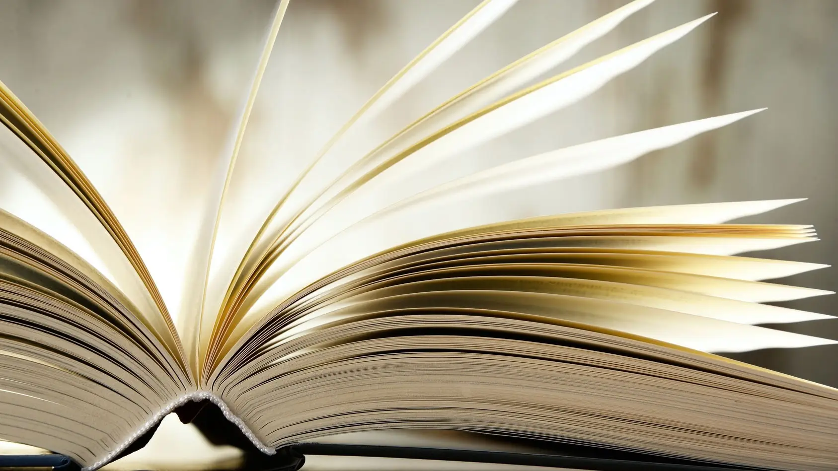 mussgnug übersetzungen beitragsbild protut